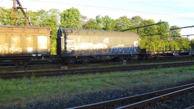 23 A-RCW 31 81 477 7 083-4 Shimmns 2016-09-06 Fa P1170098.JPG