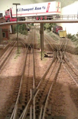 IMAG0202.jpg