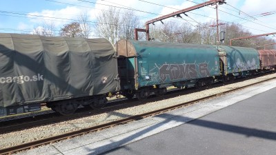 19 B-BLX 31 88 467 1 174-1 Shimmns 2017-03-22 Fa P1180229.JPG
