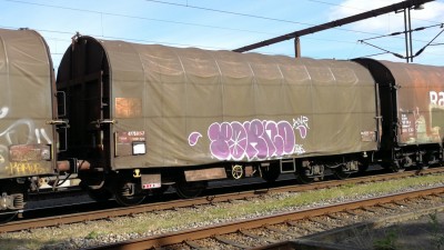 29 F-ERSA 31 87 477 5 089-7 Shimms 2017-07-04 Fa IMG_20170704_170500.jpg