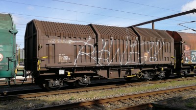 45 A-RCW 31 81 466 8 361-6 Shimmns 2017-07-04 Fa IMG_20170704_170408.jpg