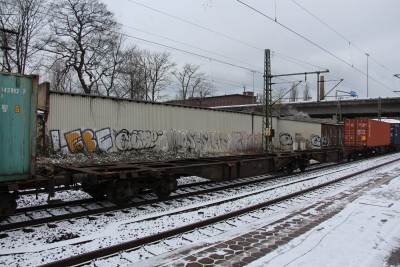 14 D-ERR 33 80 496 1 169-6 Sggmrss 2018-02-04 Hamburg-Harburg IMG_3963.JPG