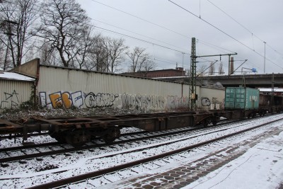 15 D-ERR 33 80 496 1 174-6 Sggmrss 2018-02-04 Hamburg-Harburg IMG_3964.JPG