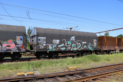 14 A-RCW 31 81 477 7 124-6 Shimmns 2020-06-23 Fa IMG_0211.JPG