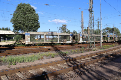 17 B-BLG 23 88 437 1 560-4 Laaers 2020-07-20 Hohe Schaar IMG_2094.JPG