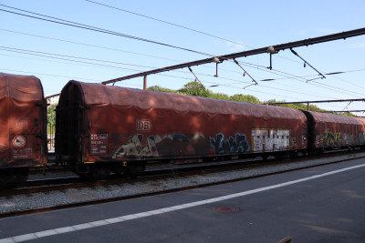 9 D-DB 31 80 354 6 433-4 Rilns 2023-06-23 Fa IMG_1314.JPG