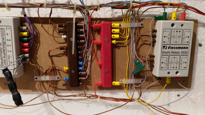 P_20230730_065422.jpg