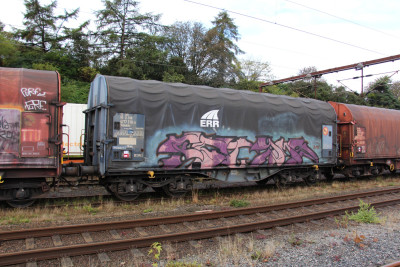 12 D-ERR 33 80 477 7 310-0 Shimmns 2019-09-05 Fa IMG_9755.JPG