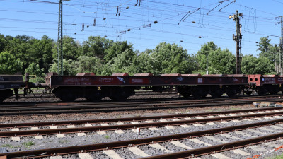 21 D-DB 31 80 486 8 645-1 Sahmms 2025-05-13 Koblenz-Lutzel IMG_7730.JPG