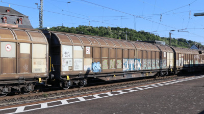 5 A-RCW 31 81 289 2 051-5 Habbillns 2025-05-13 Ehrenbreitstein IMG_8346.JPG