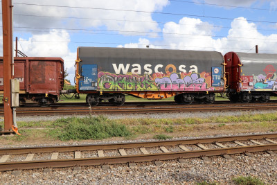 26 NL-WASCO 37 84 468 0 22-5 Shimmns 2025-09-12 Pa IMG_0465.JPG