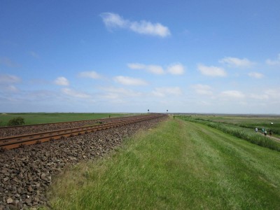 IMG_0849.jpg