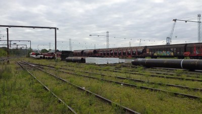 P1090920.JPG