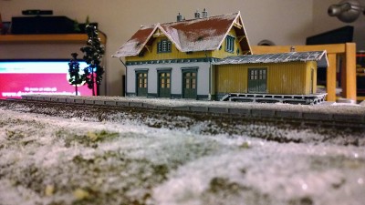 Blumenfeld im Schnee