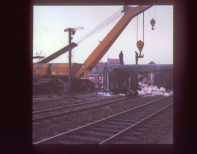 crop0035.jpg