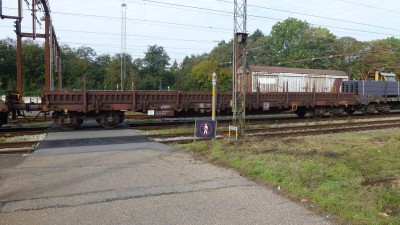 8 CFL 31 82 398 8 049-1 Rens 2014-10-11 Fa P1130644.JPG