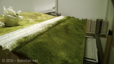 Fine turf