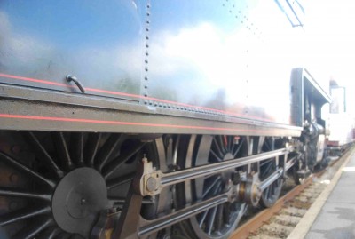 2012_08042012LitraS0016.JPG