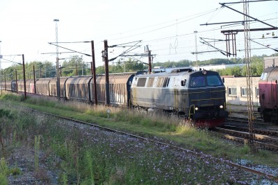 1 TMZ 1419 2015-08-05 Pa IMG_3922.JPG