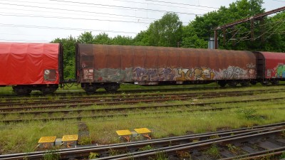 37 D-DB 31 80 354 0 273-0 Rils 2016-05-24 Fa P1160289.JPG